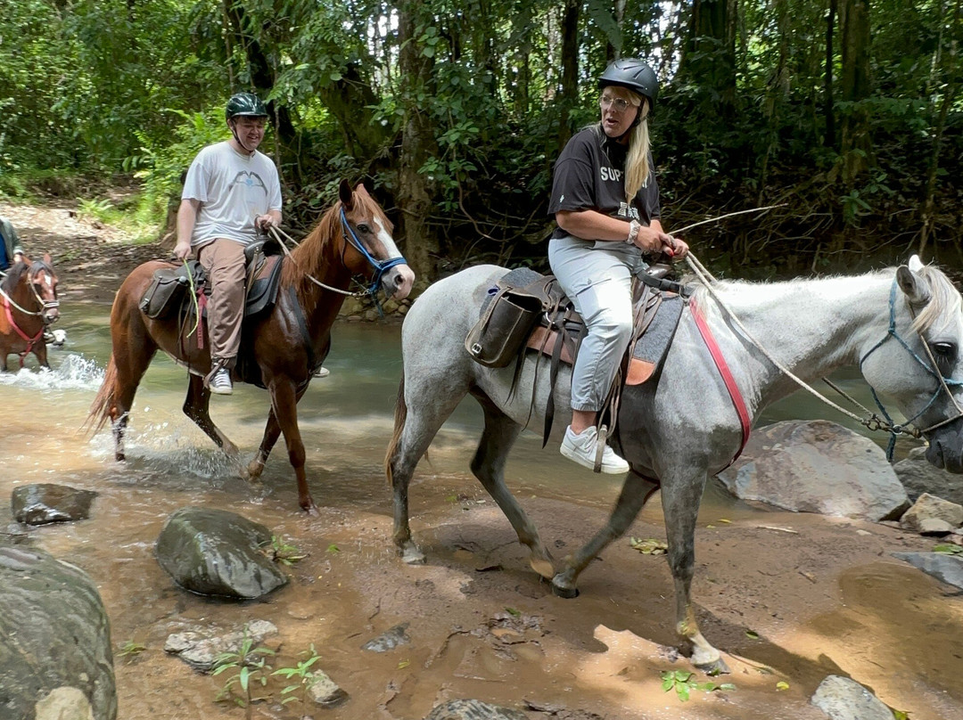 Arenal Horse Tours景点图片