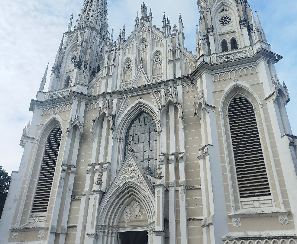 Metropolitana Cathedral景点图片