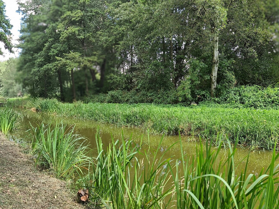 Goudse Hout-高德必去景点