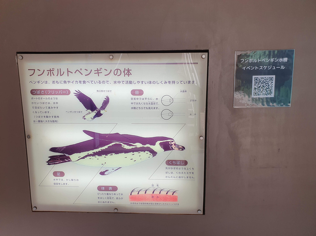 Aqua World Ibaraki Prefectural Oarai Aquarium景点图片