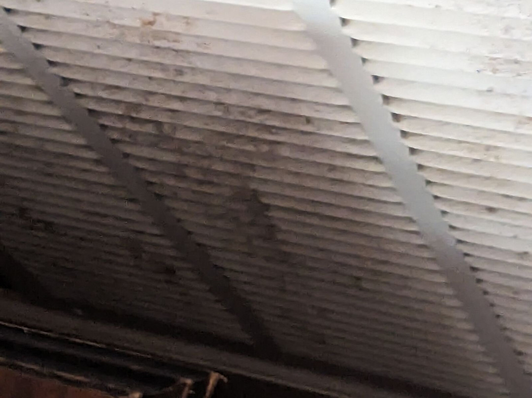 Red Roof Inn & Suites Wilson主图