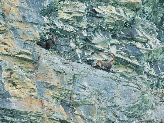 Barrage de Moiry-Grimentz必去景点