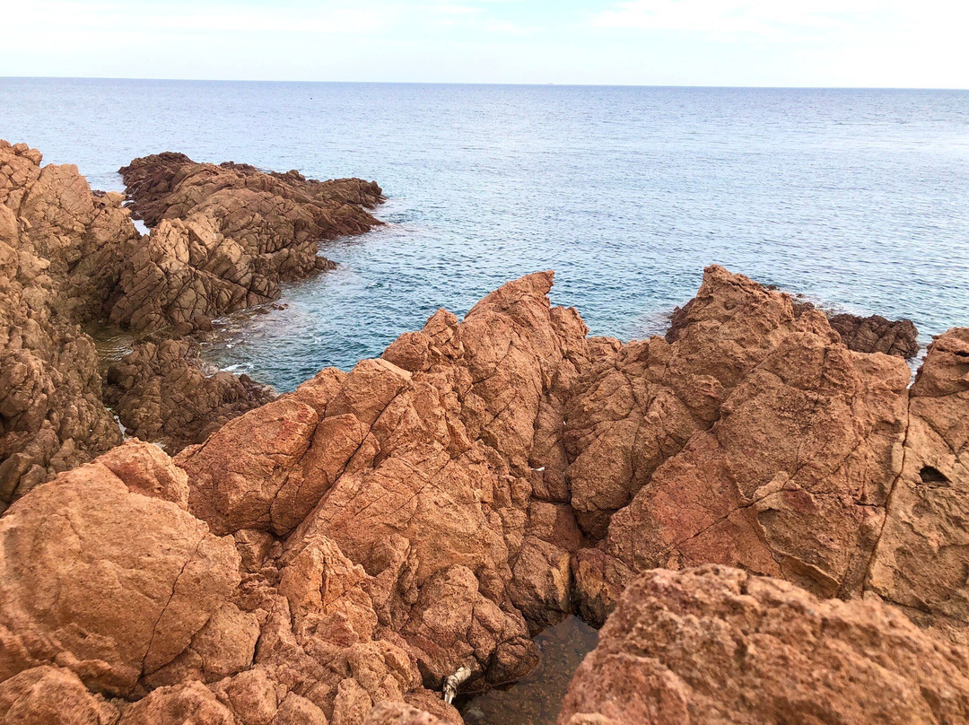 Calanque du Petit Caneiret景点图片