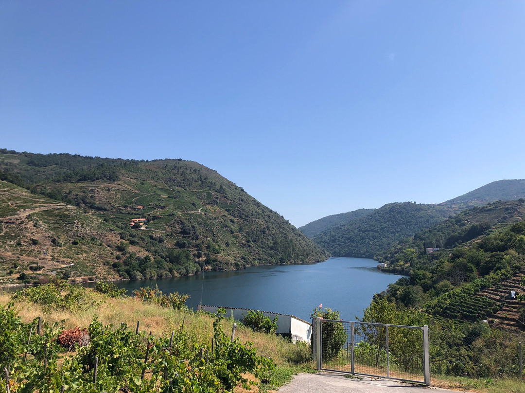 Bodega Ronsel Do Sil景点图片