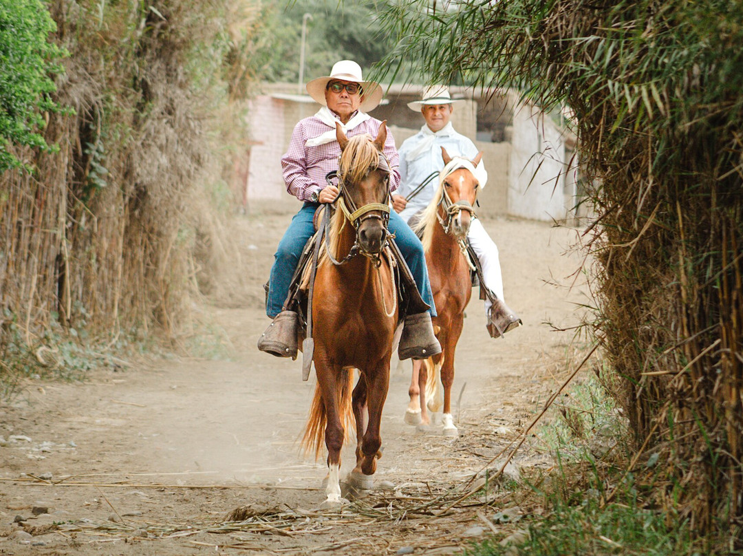Cabalgata en caballo peruano de paso-Pacasmayo必去景点