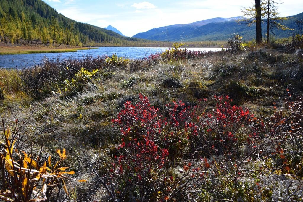 Tofalarskiy Reserve-Bolshaya Rechka必去景点