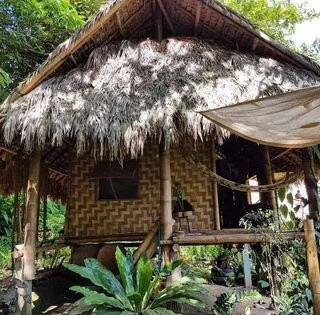 Art Khamu Homestay主图