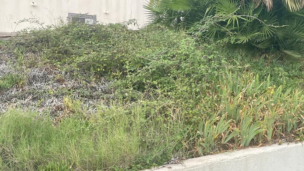 La Escondida Singular's Hotels & Restaurants主图