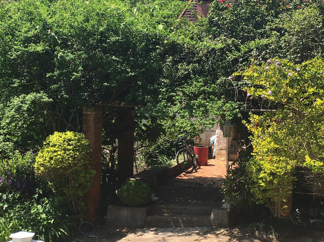 Antiquário Le Bon Vivant-圣安东尼奥杜皮尼亚尔必去景点