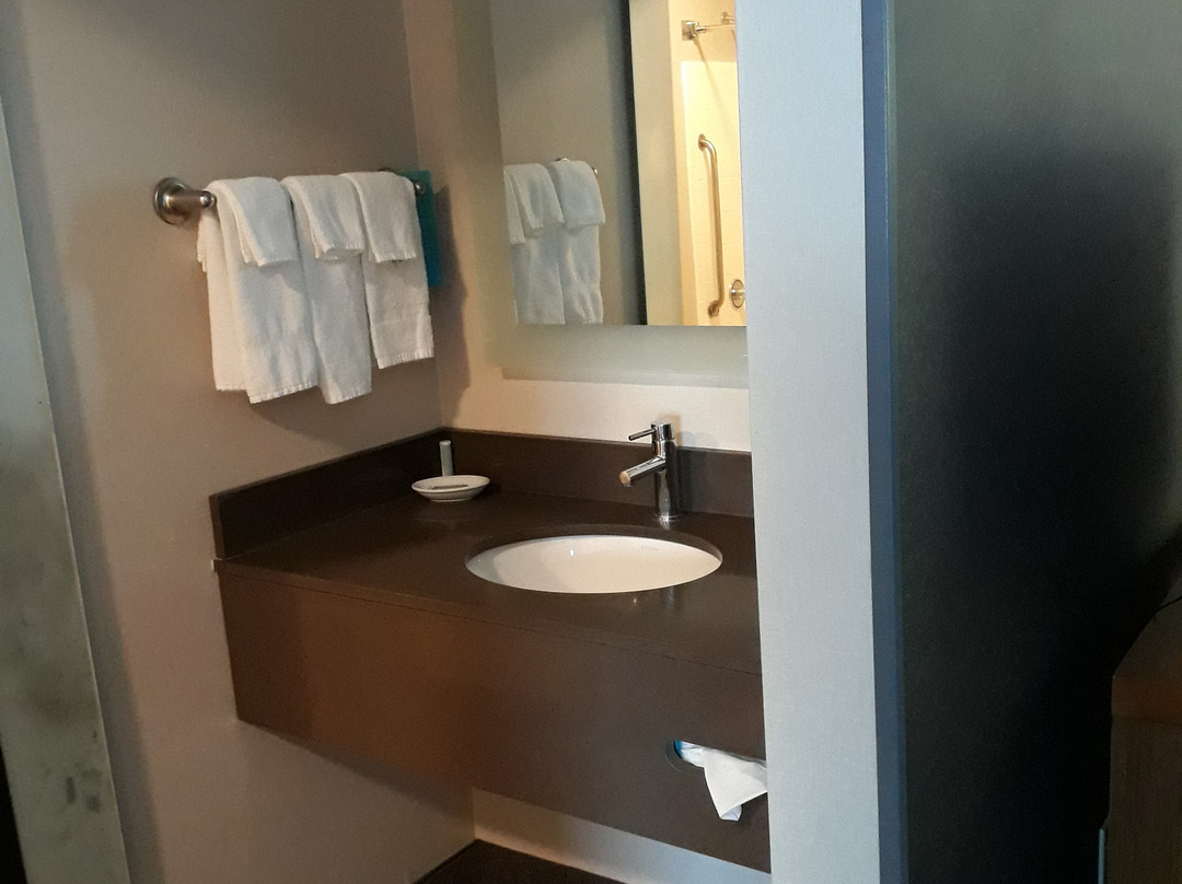 SpringHill Suites by Marriott Frankenmuth主图