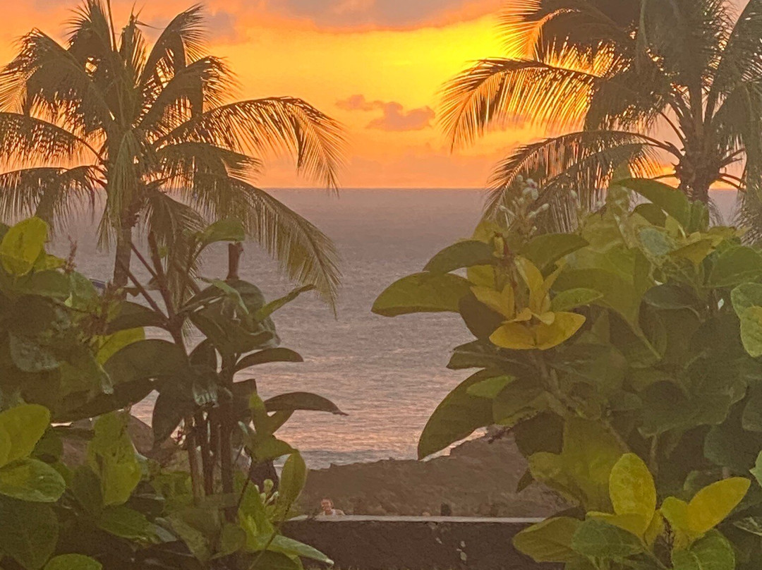 North Shore Surf Shop-哈雷瓦必去景点