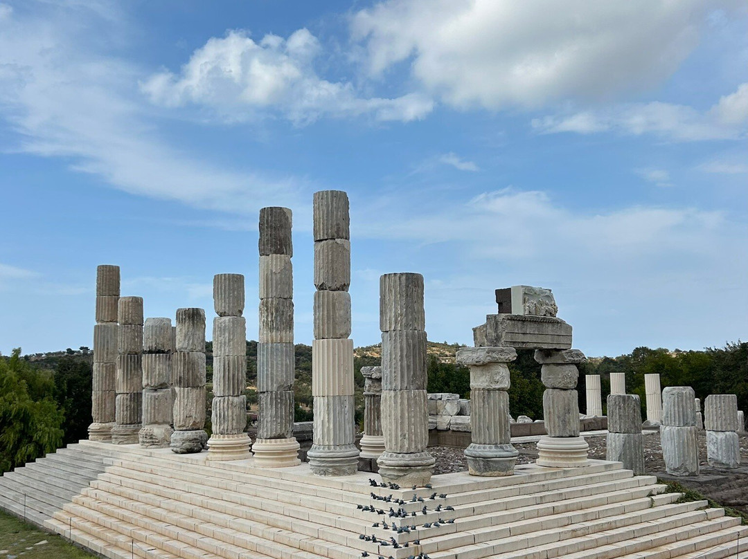 Apollon Symintheion Ruins景点图片