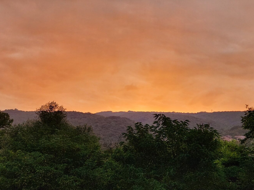 Hotel de l'Ile主图