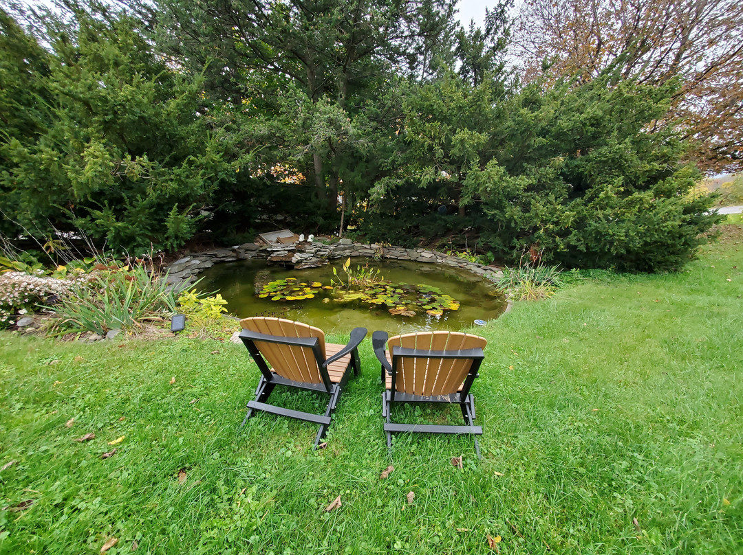 The Fox and the Grapes Bed and Breakfast主图