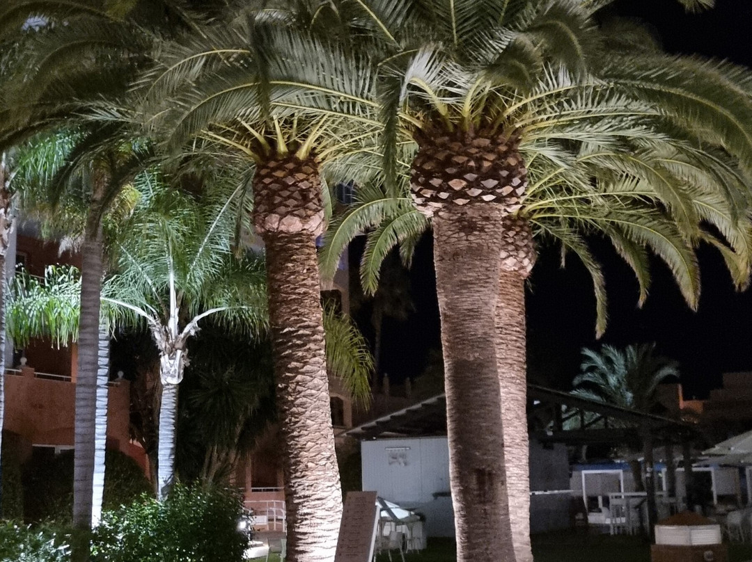 奥利瓦诺瓦高尔夫海滩酒店主图