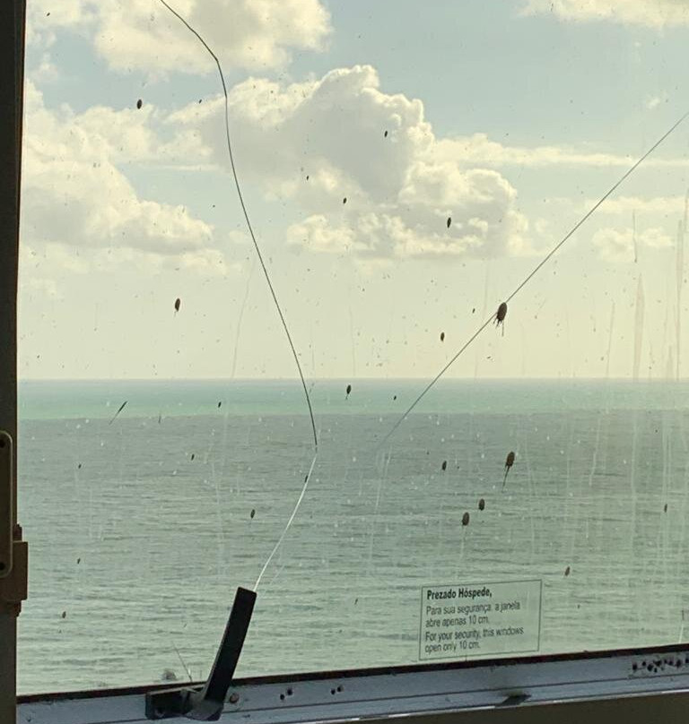 Praiamar Express Hotel主图