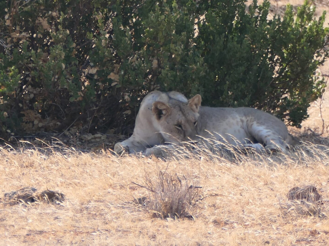 Kenya Scout  - Escursioni in Kenya-瓦塔木必去景点