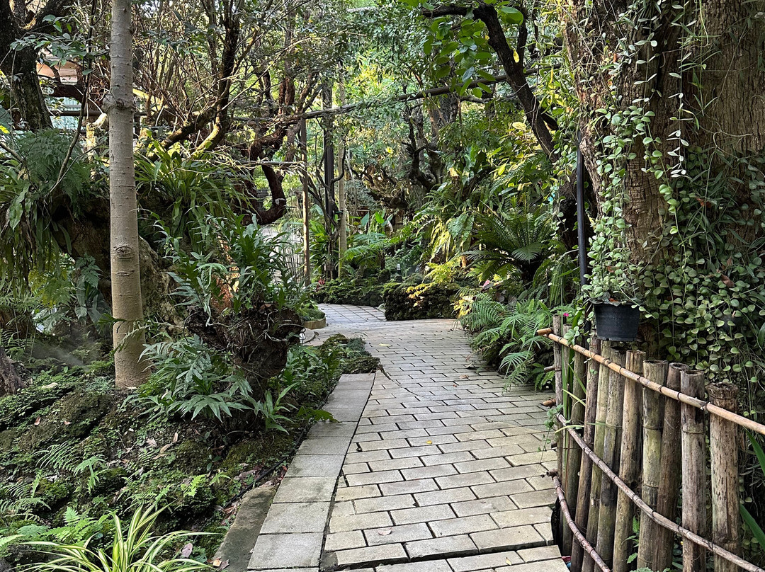 Treescape Resort Chiang Mai主图