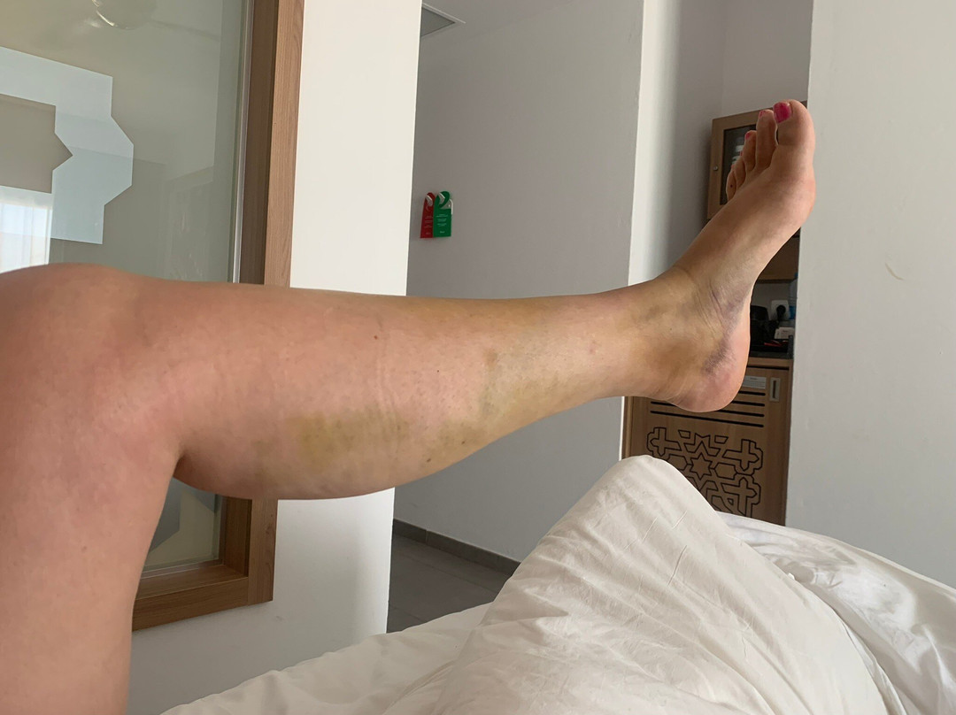 Boa Vista Tours-博阿维斯塔必去景点