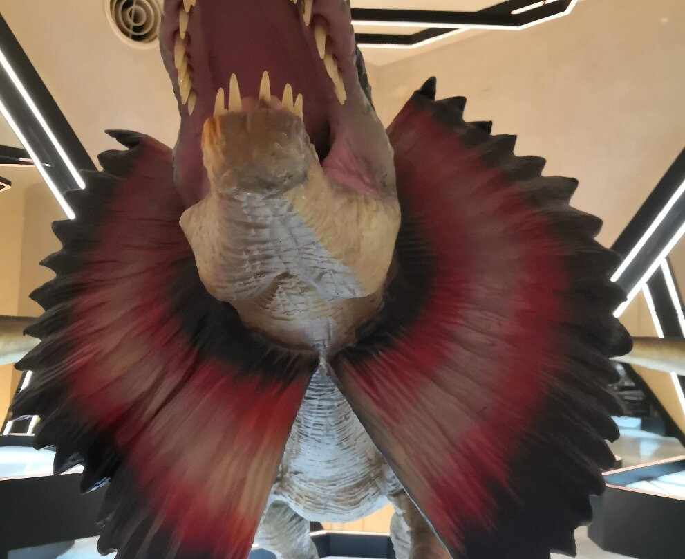 MUSEO DEL METEORITO EL ORIGEN DE LA NUEVA VIDA-Progreso必去景点