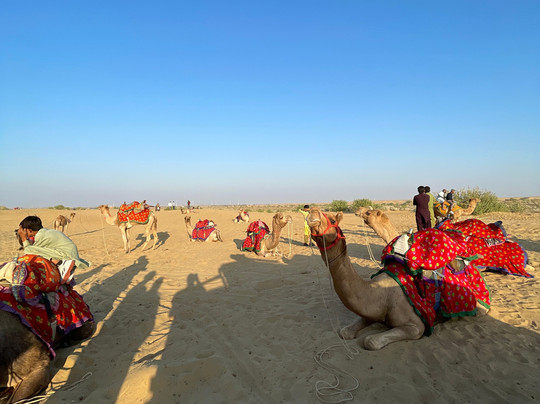 My Rajasthan Cabs Services-焦特布尔必去景点