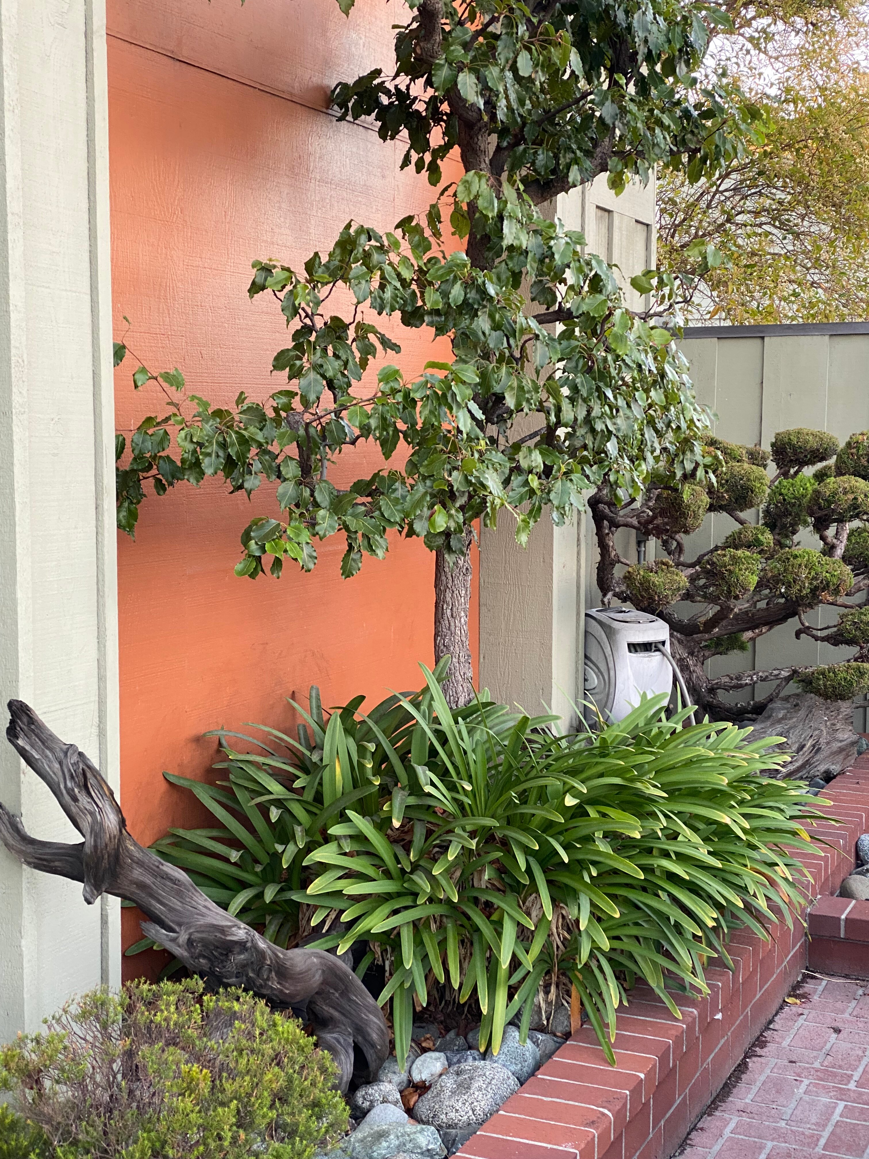 Best Western Plus Humboldt Bay Inn-浴室