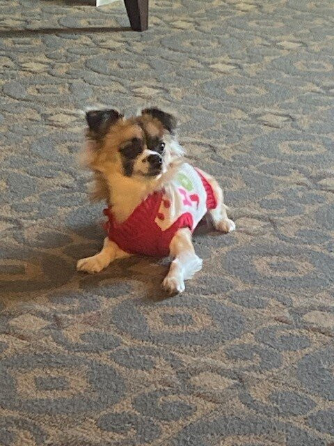 阿灵顿/马里斯维尔贝斯特韦斯特优质酒店主图