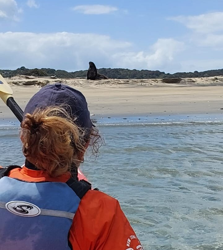 Phil's Sea Kayak景点图片