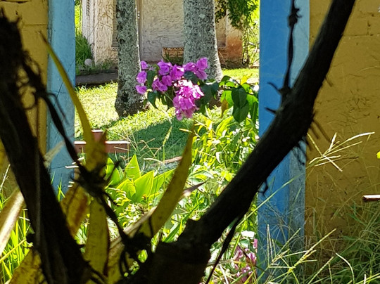 Mosteiro Paraiso-Torrinha必去景点