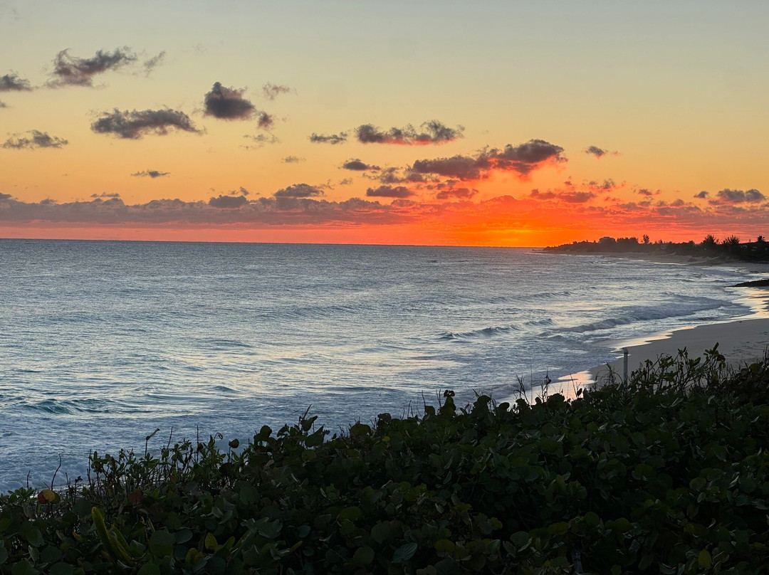 Great Guana Cay-Great Guana Cay必去景点