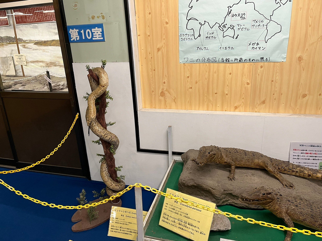 Tsuyama Nature & Mystery Museum-津山市必去景点