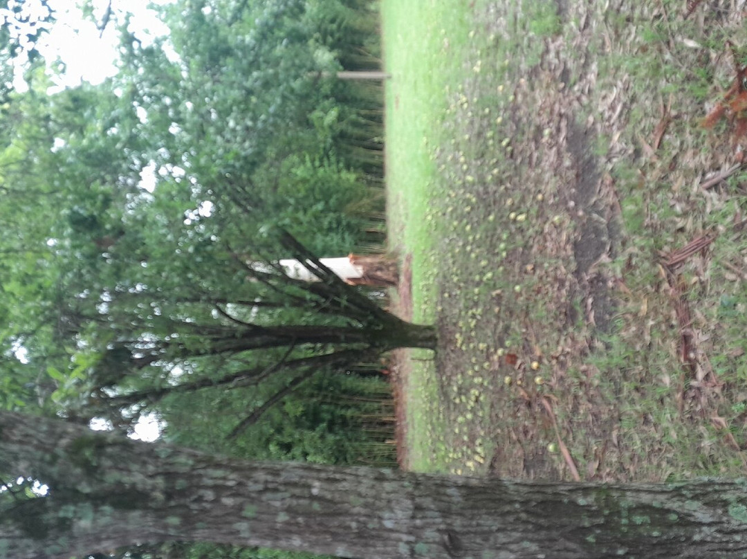 Casa de Davi Canabarro-Santana do Livramento必去景点