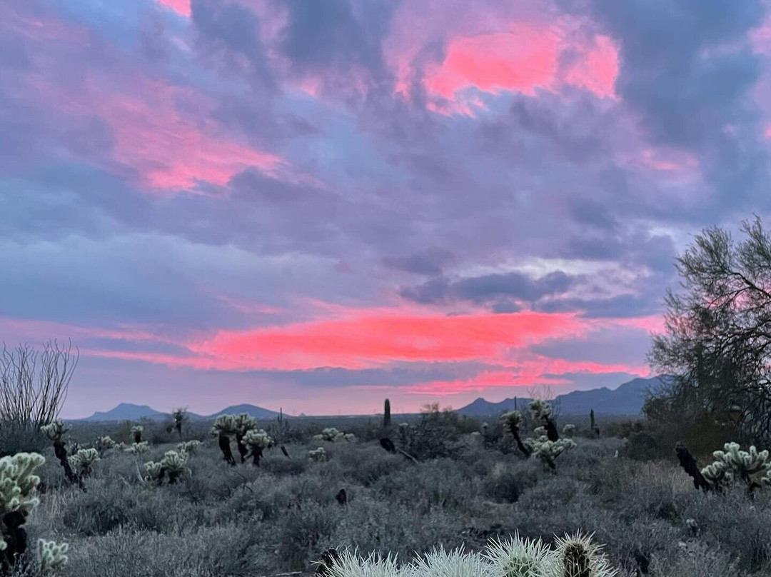 Scottsdale Adventure Tours-斯科茨代尔必去景点