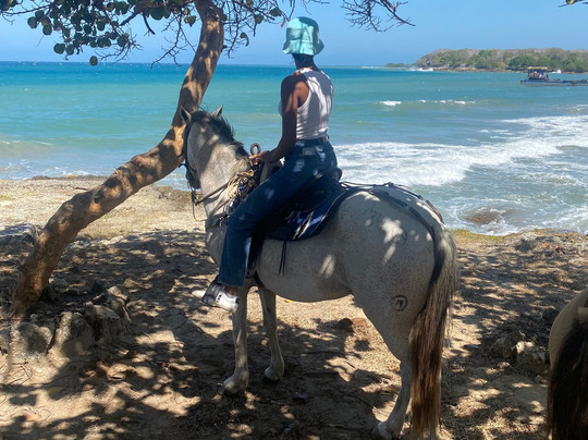 Tierra Bomba Horse Treks Cartagena