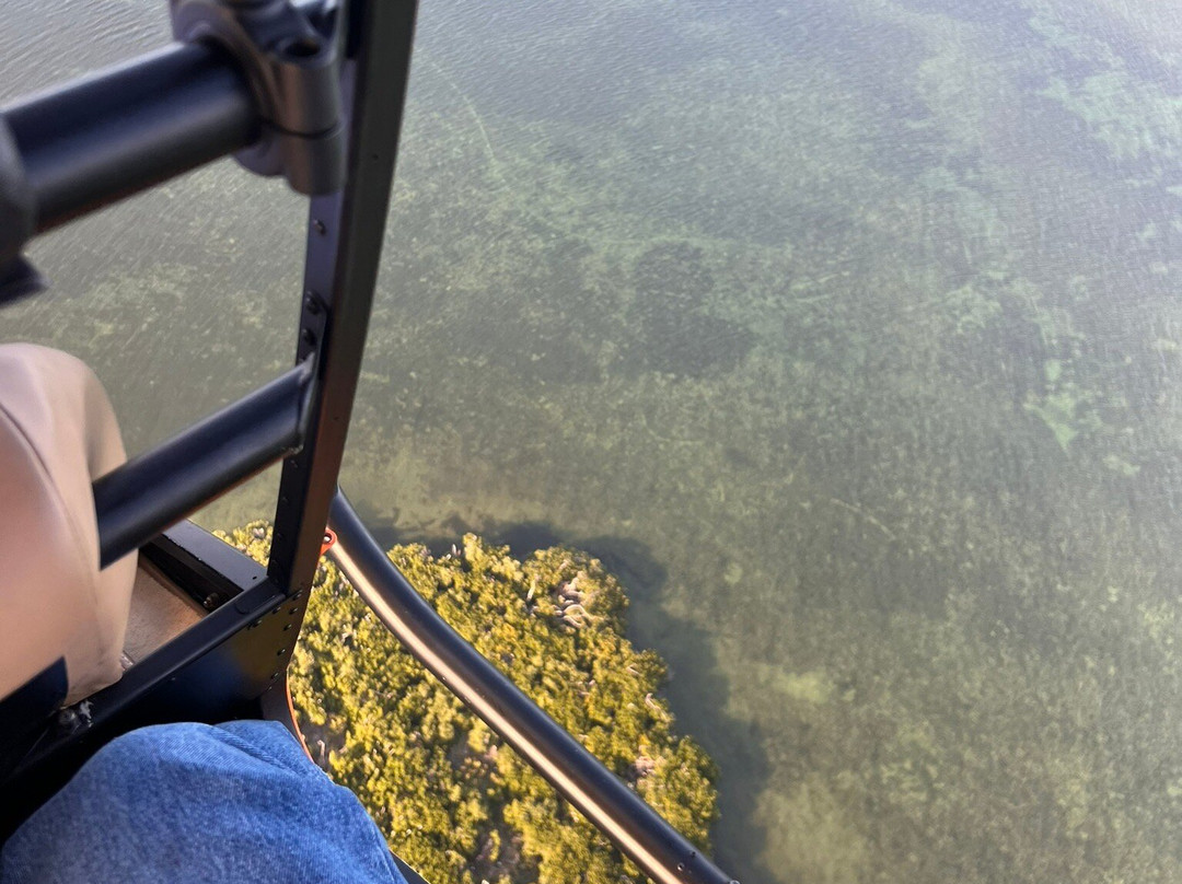 Sarasota Helicopter Tours-萨拉索塔必去景点