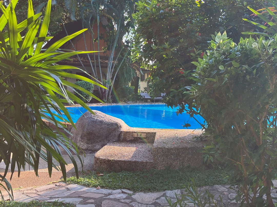 棕榈花园度假村酒店主图