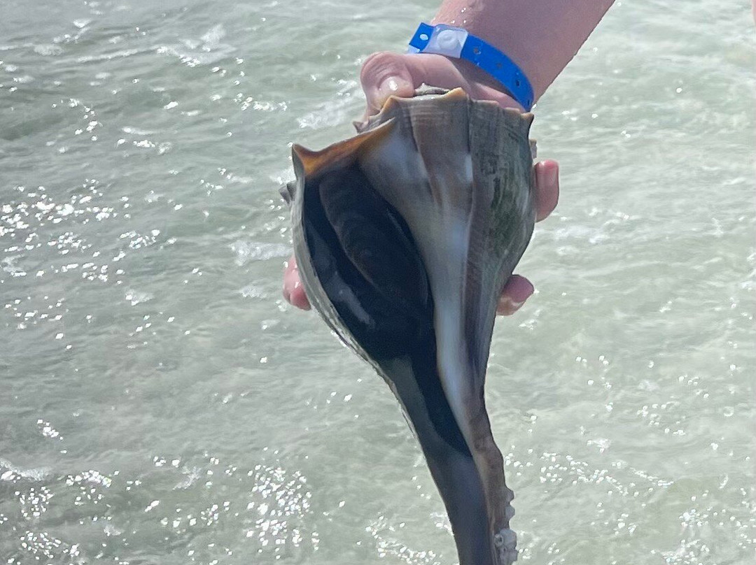 Private Island Charters-帕姆港必去景点