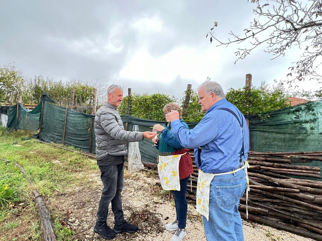 Wine Tour Amalfi Coast-阿马尔菲必去景点
