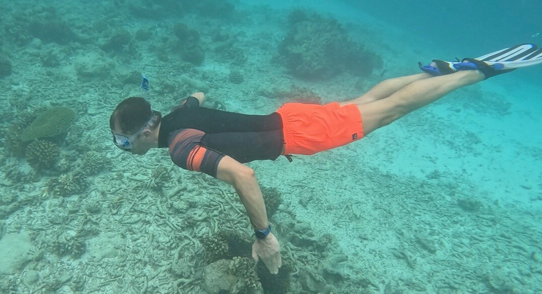 Bubbles Diving Center-Gulhi Island必去景点