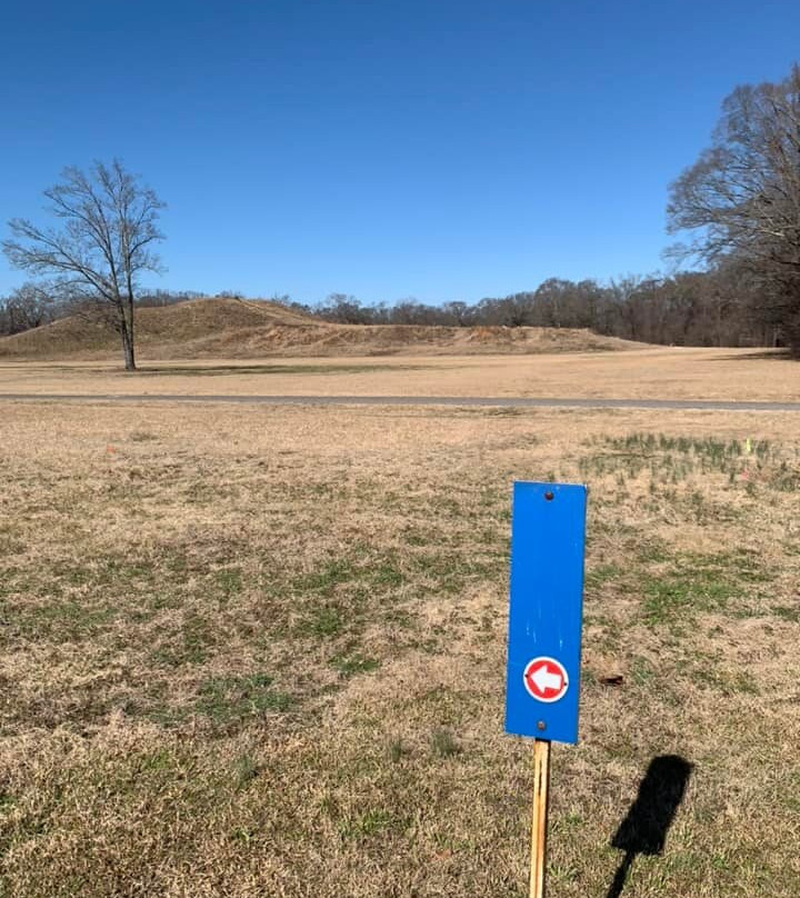 Poverty Point World Heritage Site景点图片