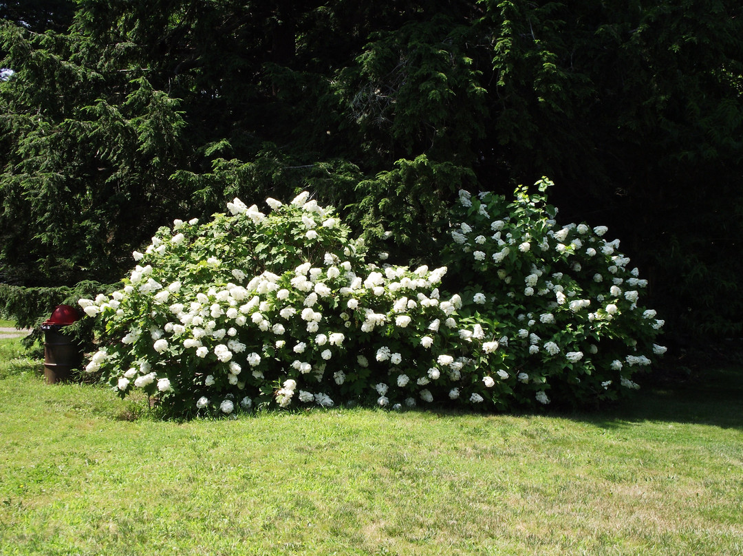 Atkinson Common-纽伯里波特必去景点