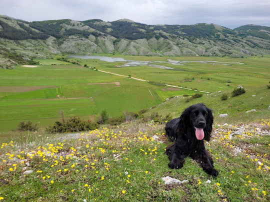 Lago di Rascino-Fiamignano必去景点
