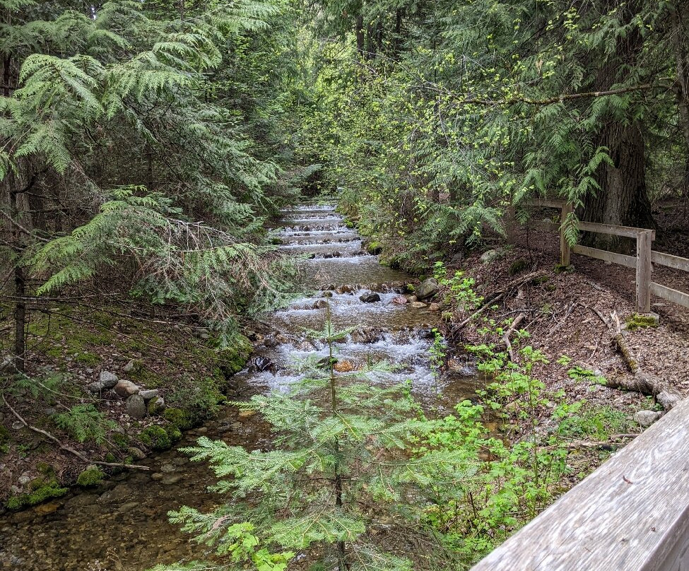 Kokanee Creek Provincial Park景点图片
