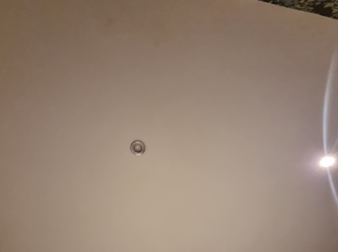 The Globe Hotel主图