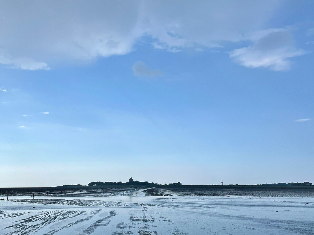 Wattwagenfahrten zur Insel Neuwerk-顿恩必去景点