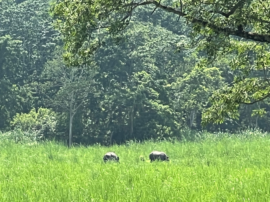 The Jungle Book Safari & Tours,  Chitwan National Park景点图片