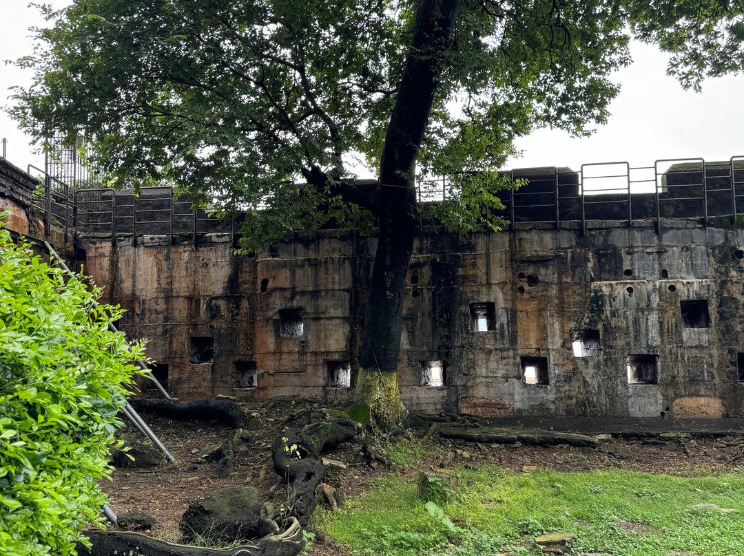 威远炮台-东莞市必去景点