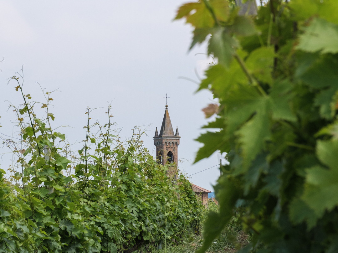 Vigneti Aliberti Azienda Agricola-Canelli必去景点