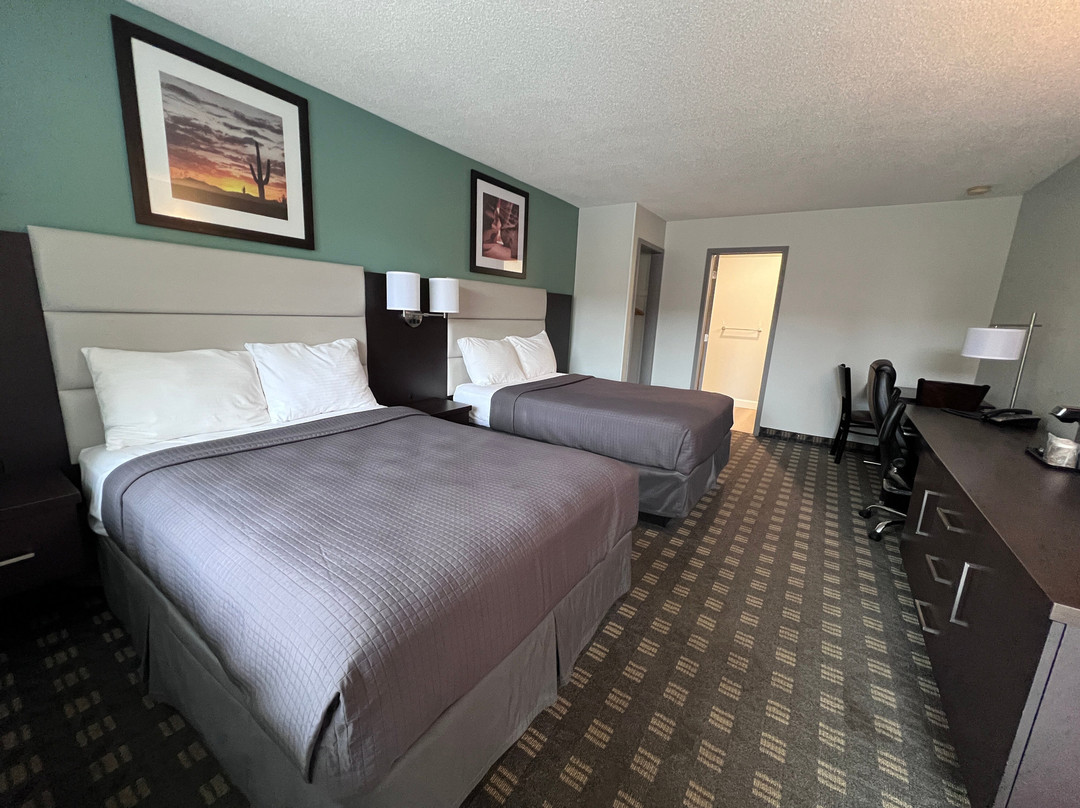 Wellington Inn主图