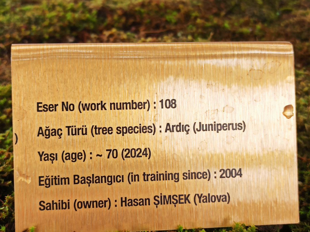 Yalova Bonsai Müzesi-Yalova必去景点